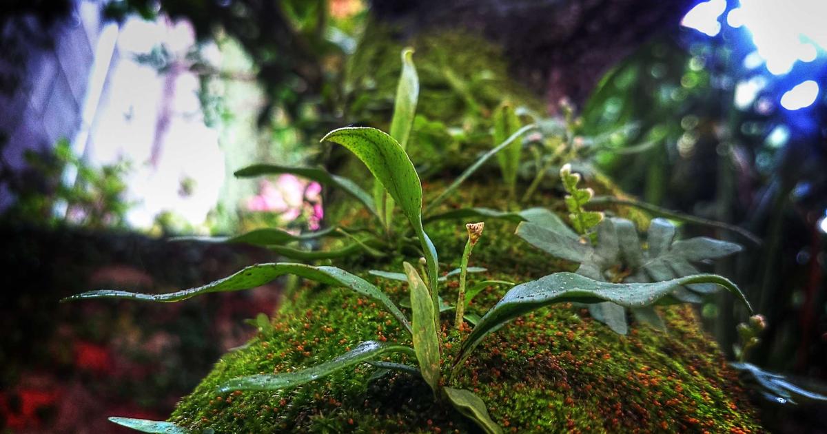 困在妳的遊戲裡｜EP.2