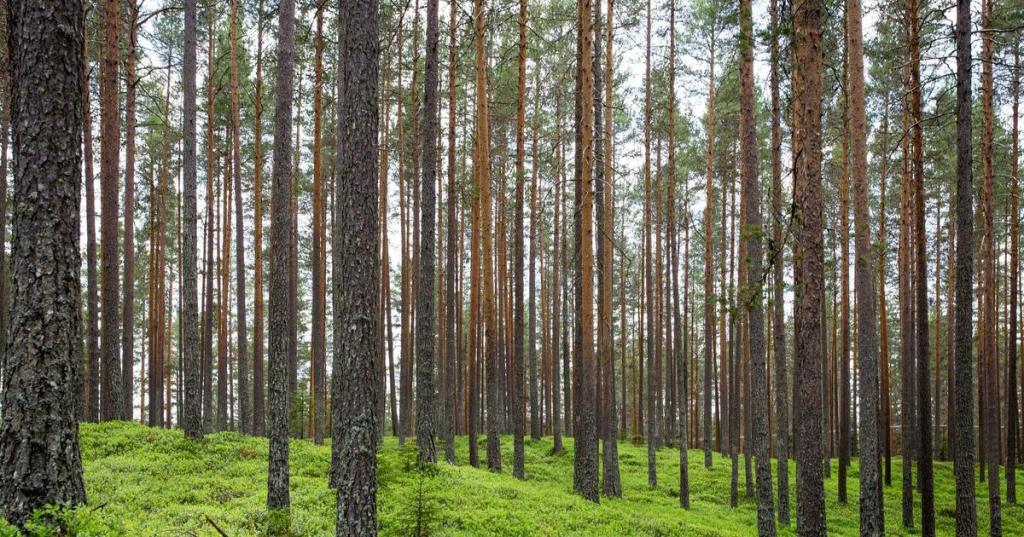 只差一步的距離｜EP.2