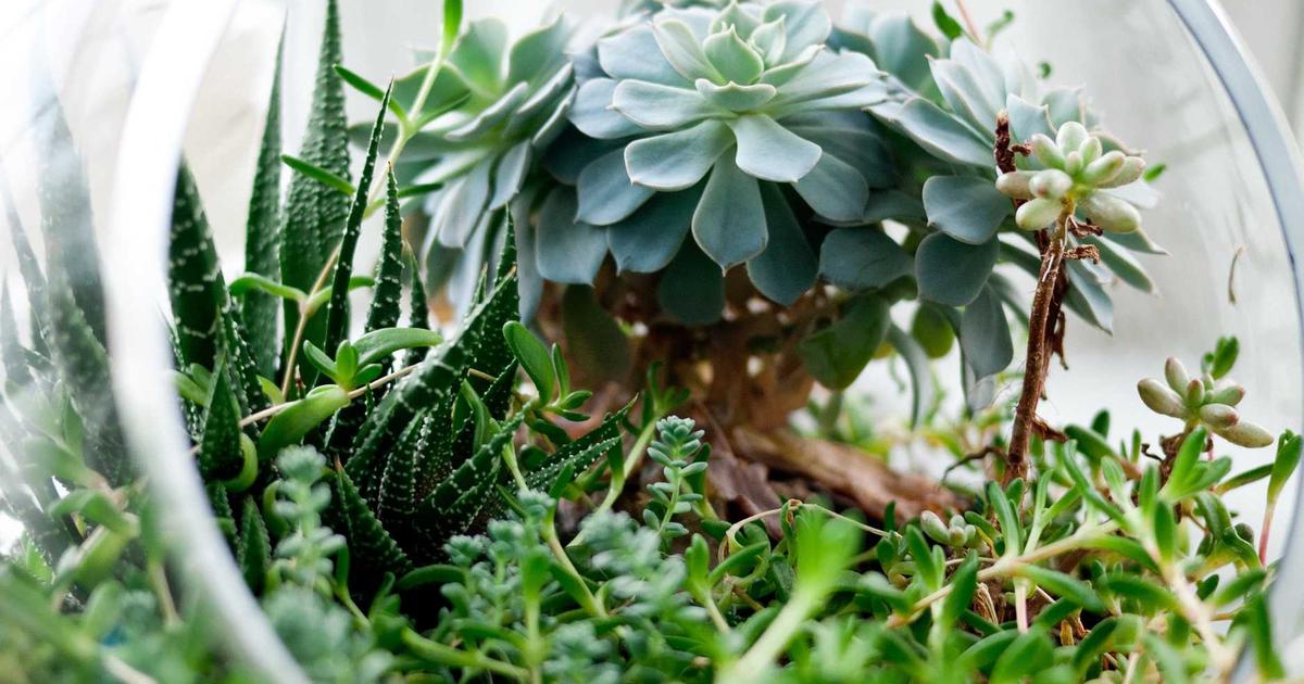 窗邊的異鄉人｜EP.1