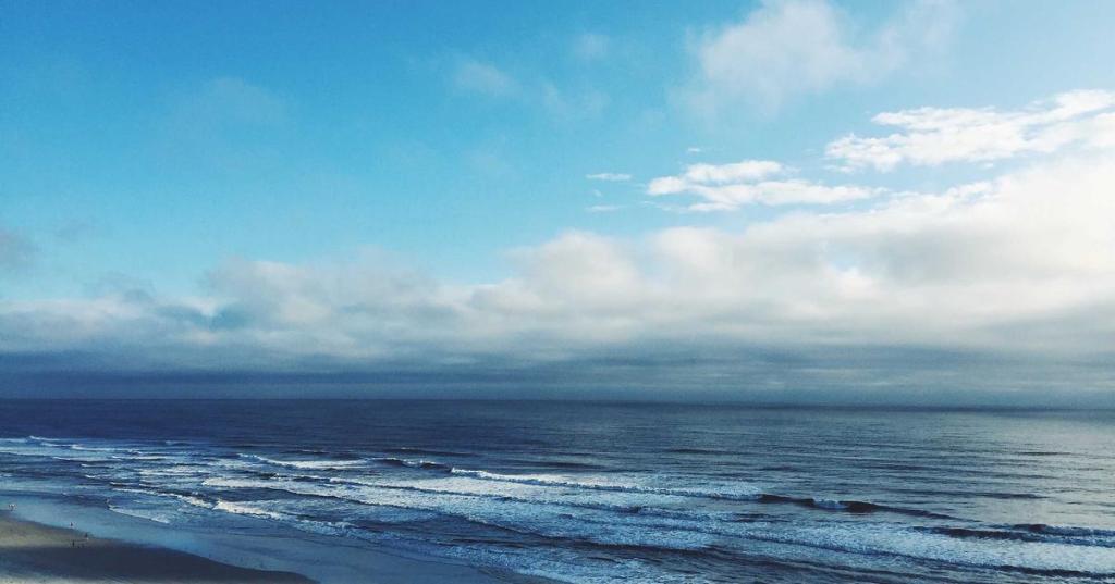 金錢與玫瑰｜EP.1