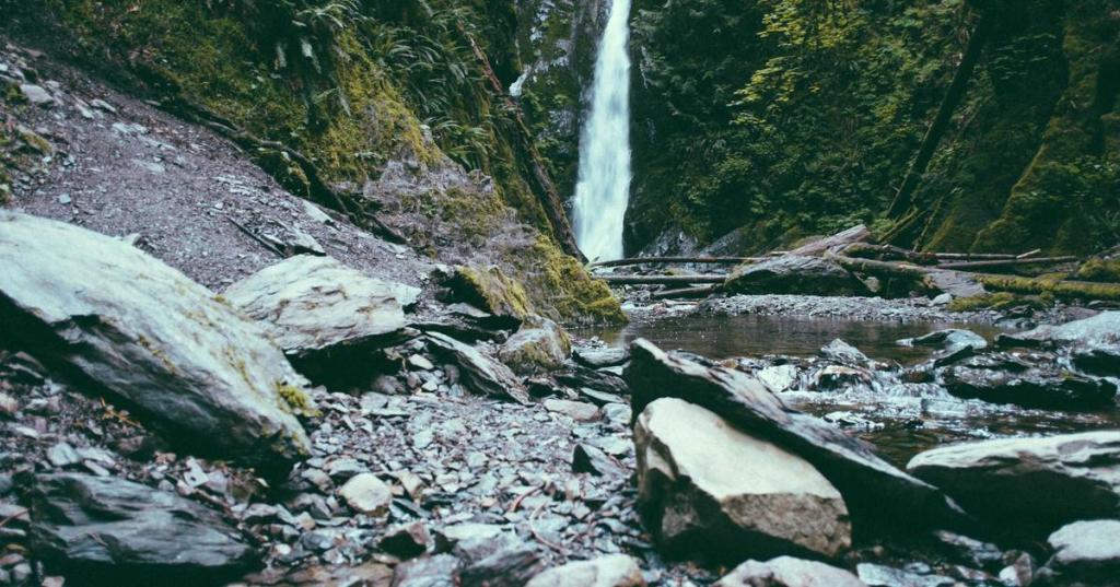 舌尖上的迷失｜EP.1