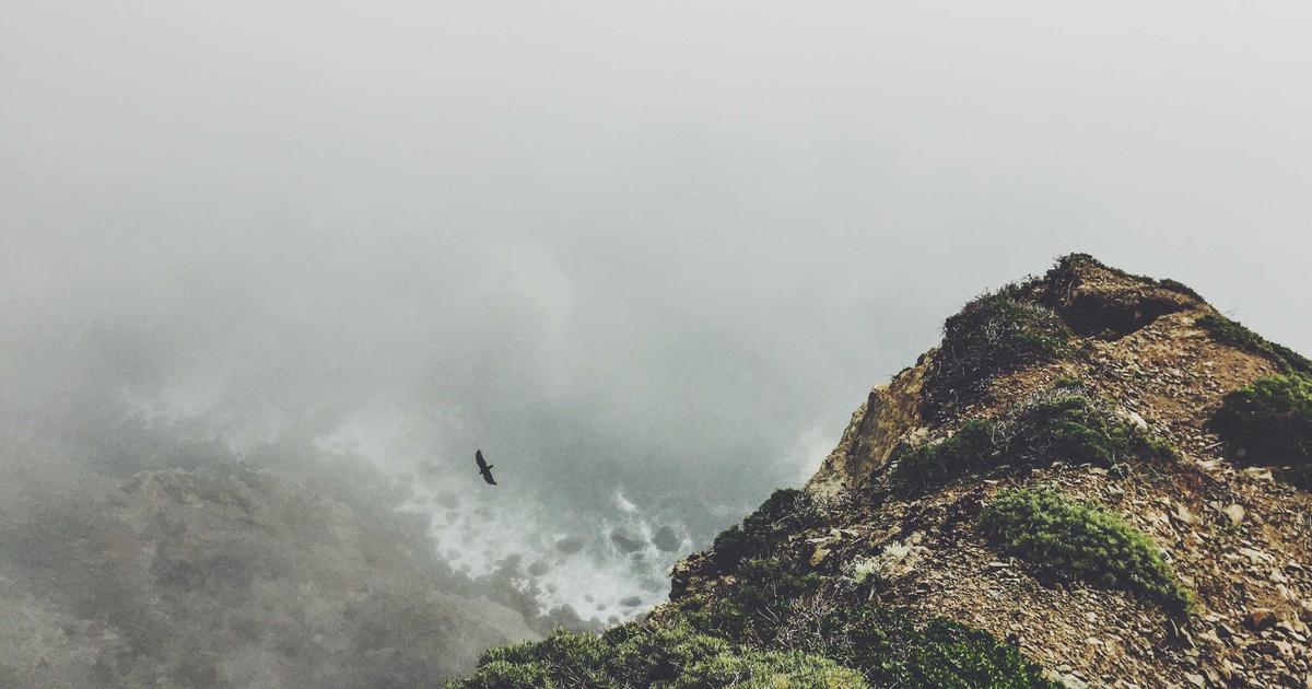 指尖上的迷霧｜EP.1