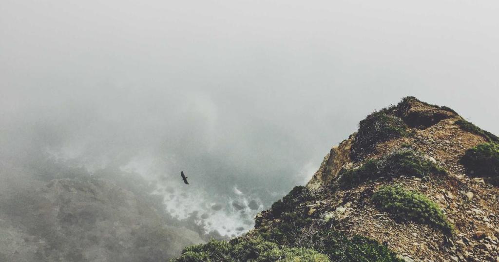 指尖上的迷霧｜EP.1