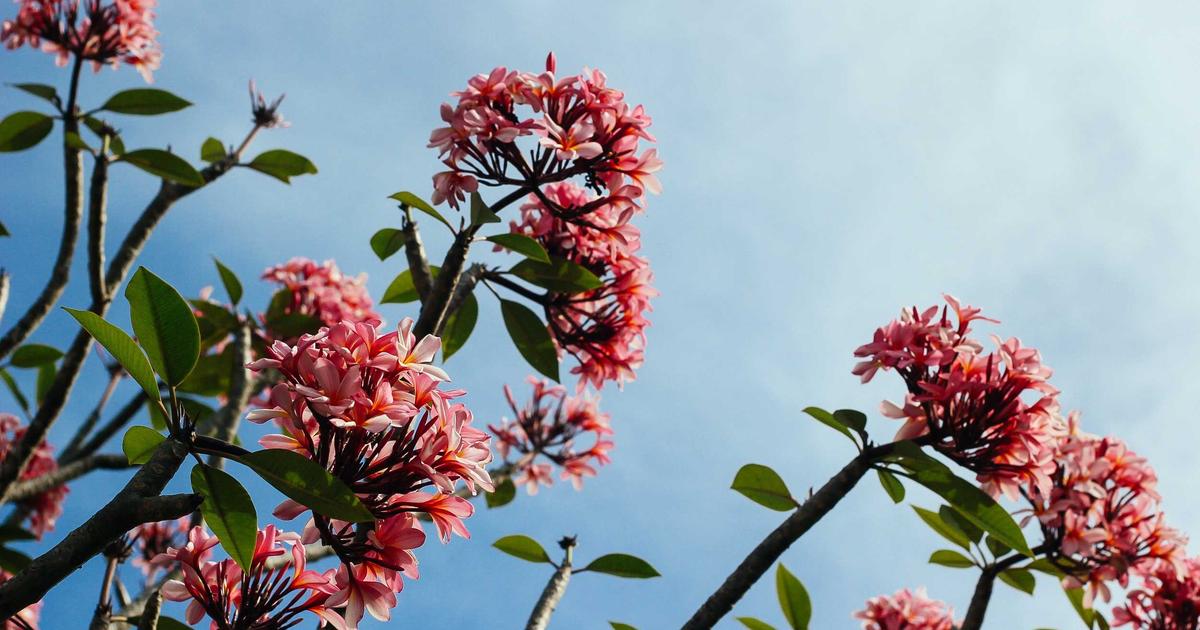 晨曦裡的曖昧｜EP.1