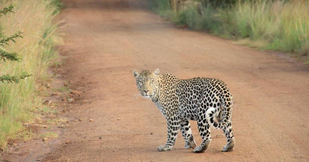星辰下的暗潮｜EP.1