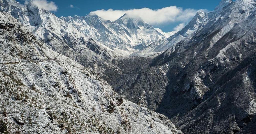 金錢與玫瑰｜EP.2