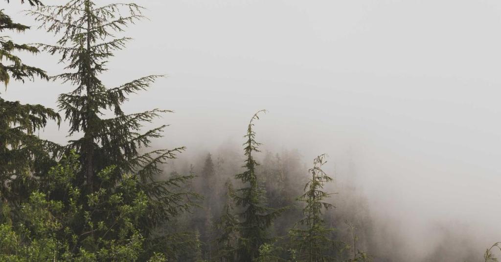 罪與愛的距離｜EP.2