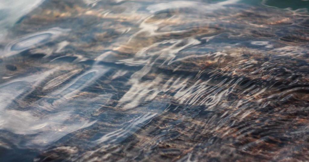 心跳失控區｜EP.2