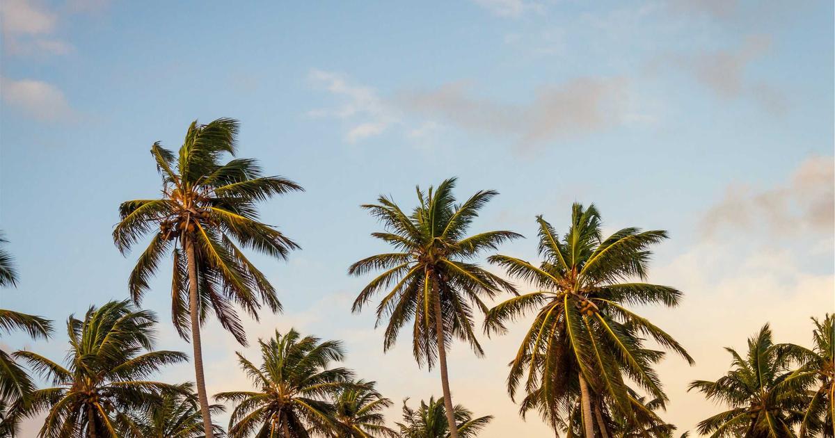 回憶的溫度｜EP.2