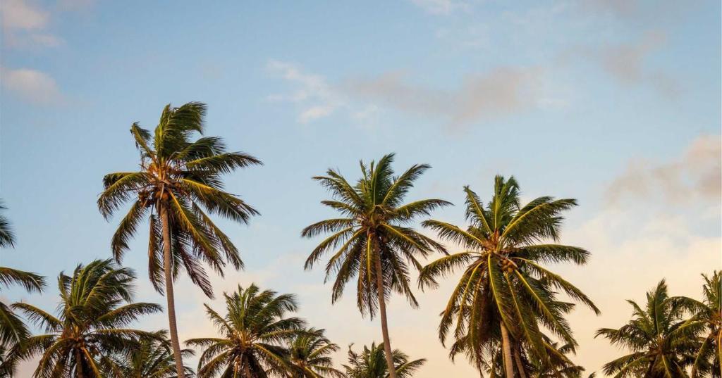 回憶的溫度｜EP.2