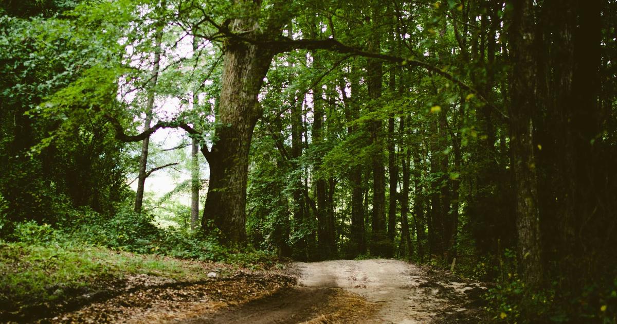 星辰下的暗潮｜EP.2