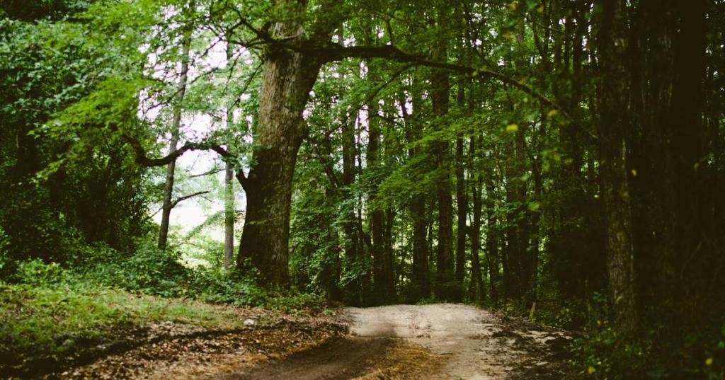 星辰下的暗潮｜EP.2