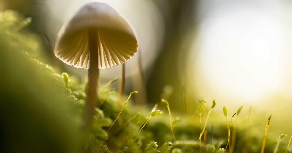 心跳的訊息|EP.3