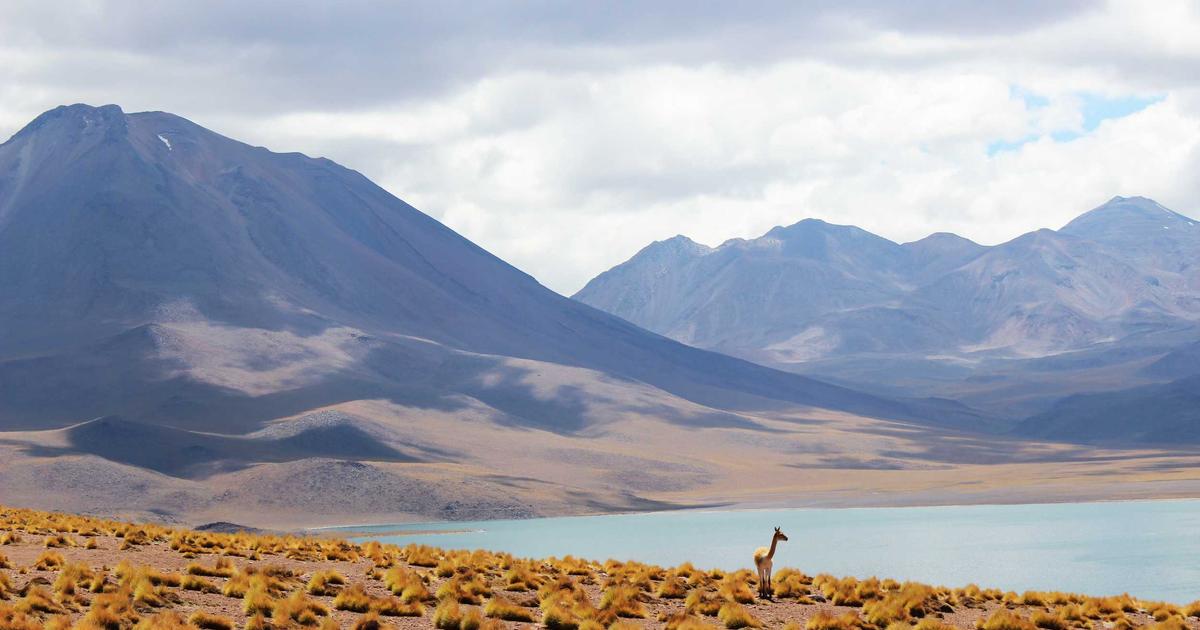 半小時的溫存｜EP.3