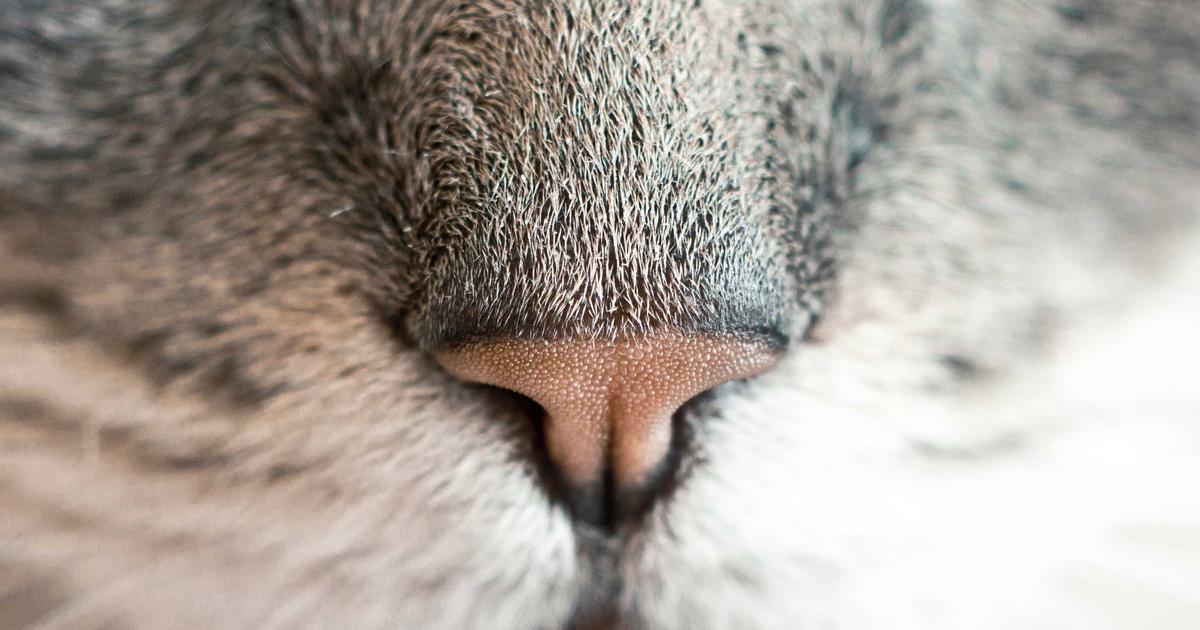 心底的波瀾｜EP.3